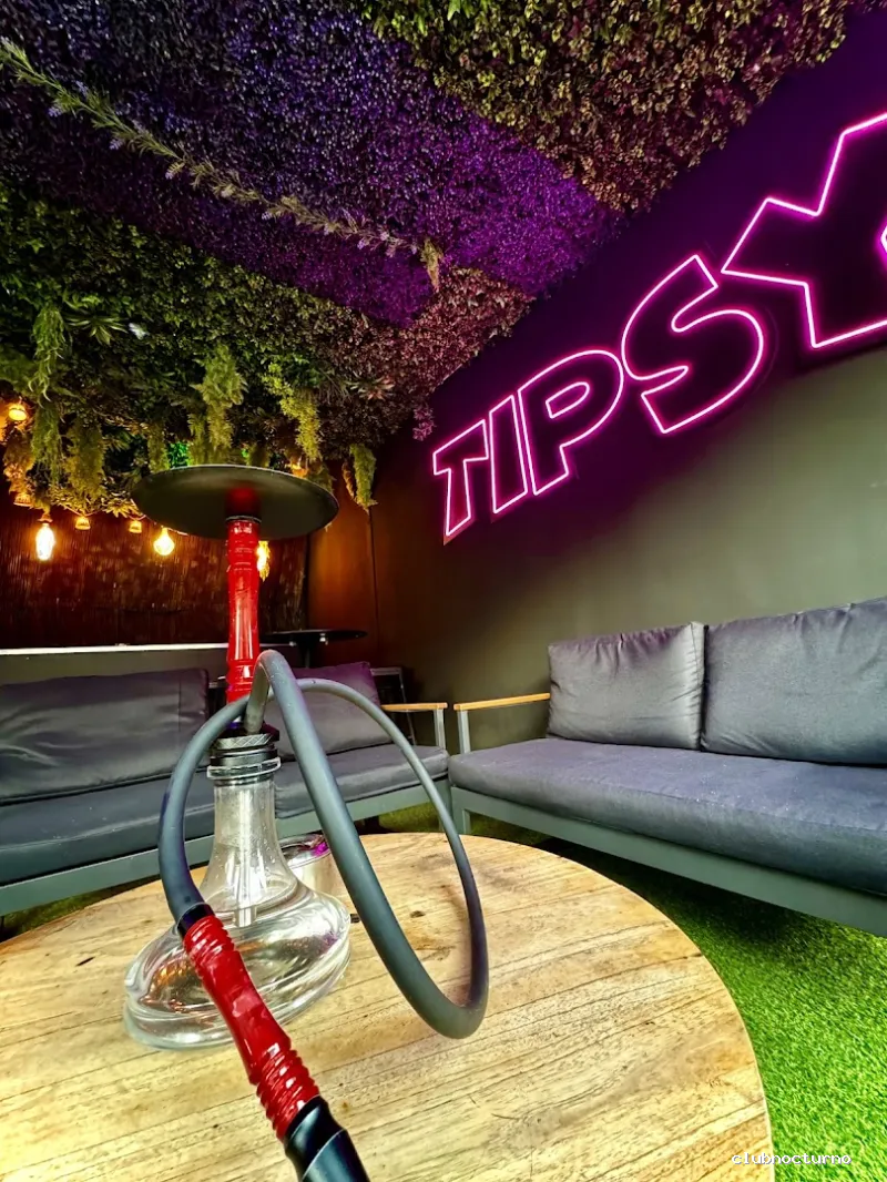 Tipsy Jungle - Discoteca Benidorm