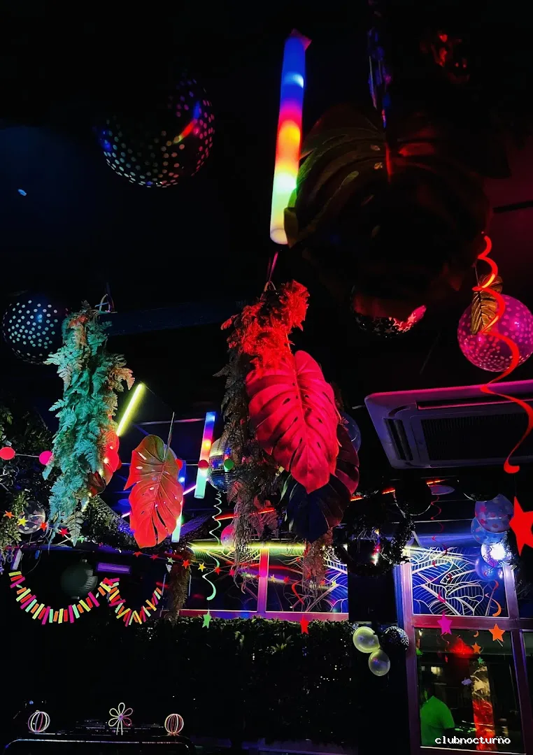 Tipsy Jungle - Discoteca Benidorm