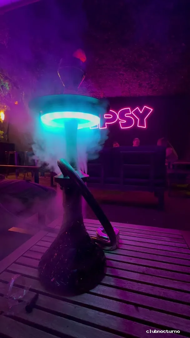 Tipsy Jungle - Discoteca Benidorm