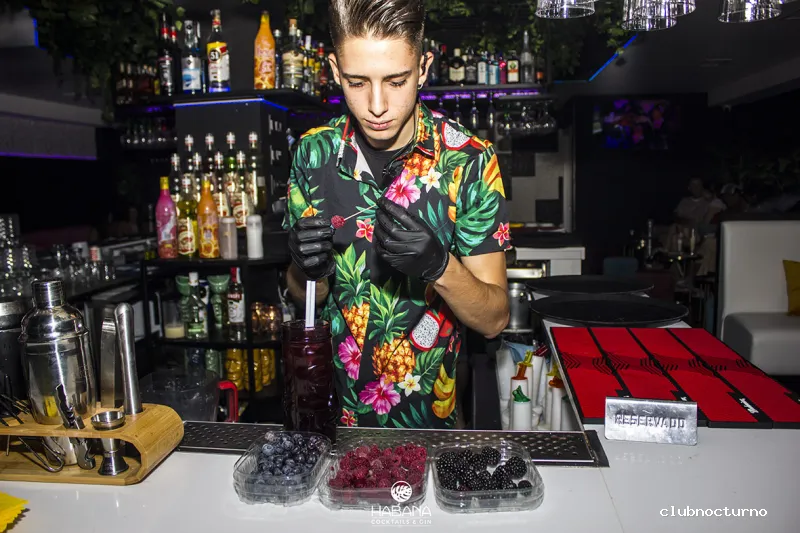 Cocteleria Habana Fuenlabrada