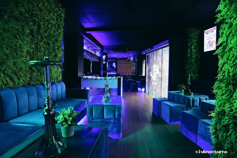 𝙆𝘼𝙇𝘼𝙎 𝙇𝙊𝙐𝙉𝙂𝙀 / 𝙎𝙃𝙄𝙎𝙃𝘼 𝘽𝘼𝙍 𝙔 𝘾𝙊𝘾𝙏𝙀𝙇𝙀𝙎