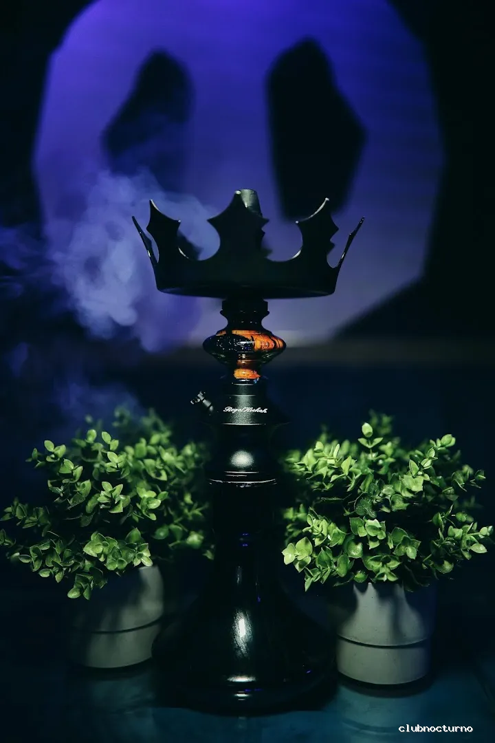 𝙆𝘼𝙇𝘼𝙎 𝙇𝙊𝙐𝙉𝙂𝙀 / 𝙎𝙃𝙄𝙎𝙃𝘼 𝘽𝘼𝙍 𝙔 𝘾𝙊𝘾𝙏𝙀𝙇𝙀𝙎