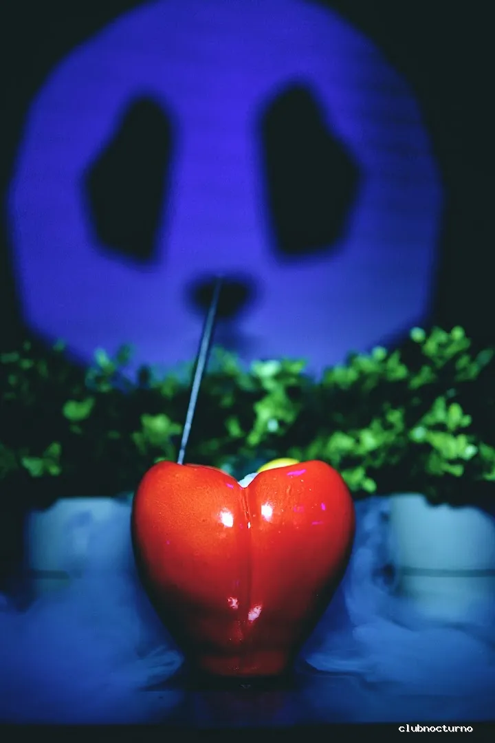 𝙆𝘼𝙇𝘼𝙎 𝙇𝙊𝙐𝙉𝙂𝙀 / 𝙎𝙃𝙄𝙎𝙃𝘼 𝘽𝘼𝙍 𝙔 𝘾𝙊𝘾𝙏𝙀𝙇𝙀𝙎