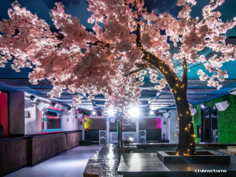 Out Night Club Ibiza