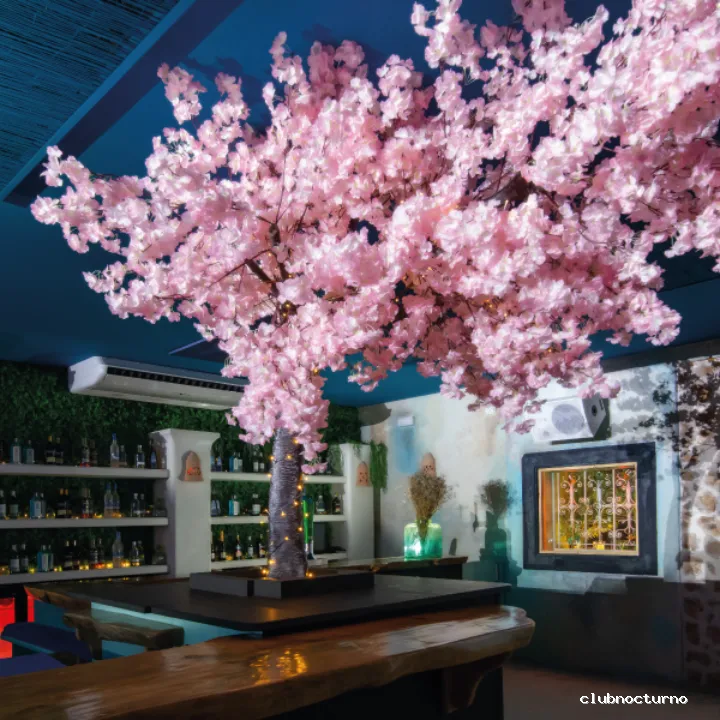 Out Night Club Ibiza