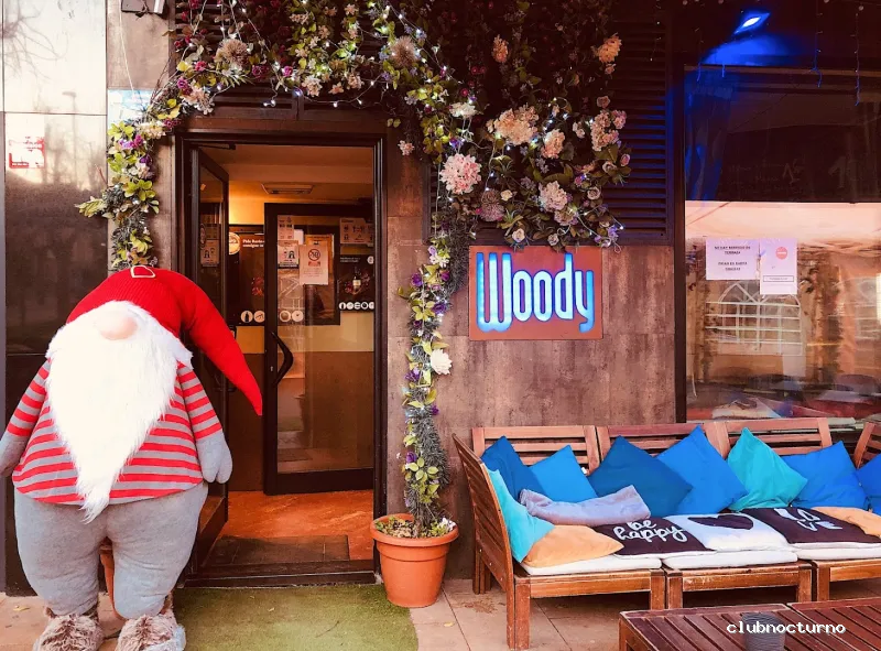 Pub Woody