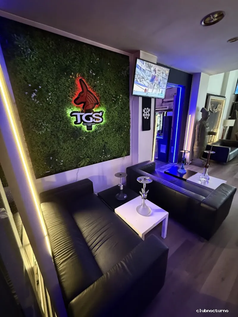 SIETE ALICANTE / CACHIMBA ALICANTE