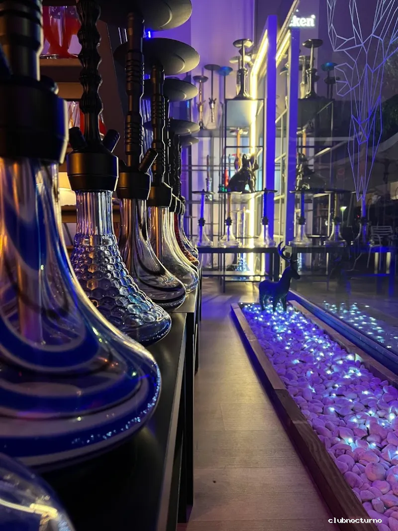 SIETE ALICANTE / CACHIMBA ALICANTE