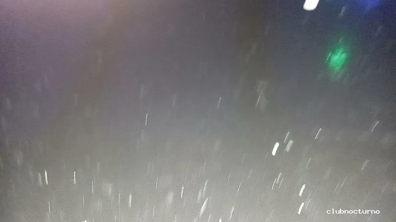 LATIN PUB D’ PUT@ MADRE TORREVIEJA