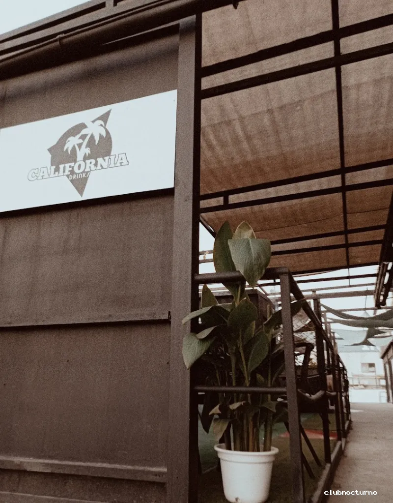 LATIN PUB D’ PUT@ MADRE TORREVIEJA