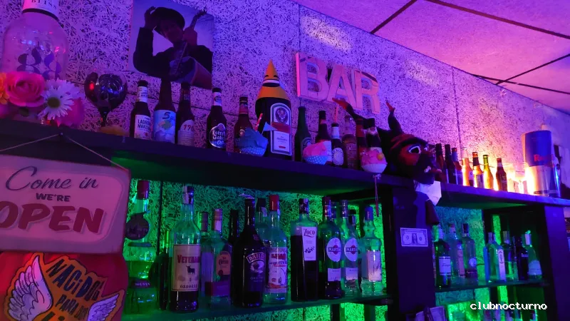 Es Vinil Cafe - Lounge