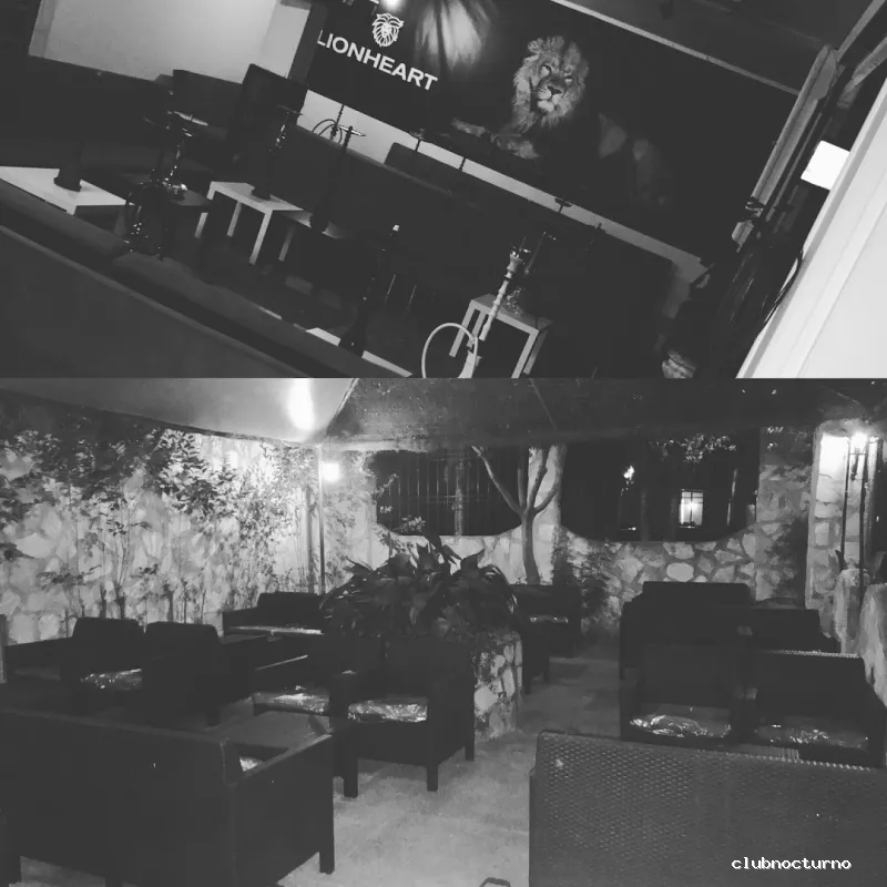 Lionheart Shisha Lounge & Cocktail Bar