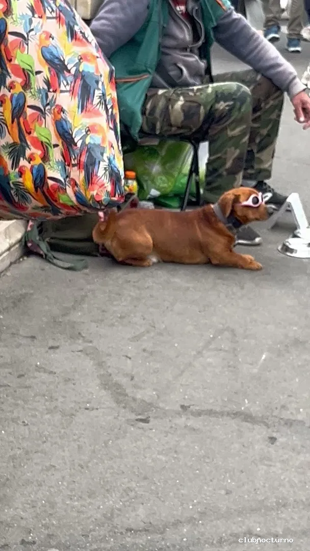 Toma chupete sede Madriz 😈🥵