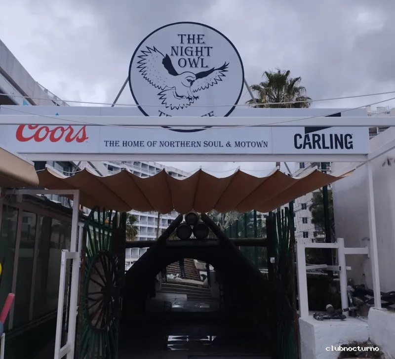 The Night Owl Tenerife