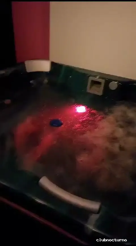 Discoteca Latina TREBOL