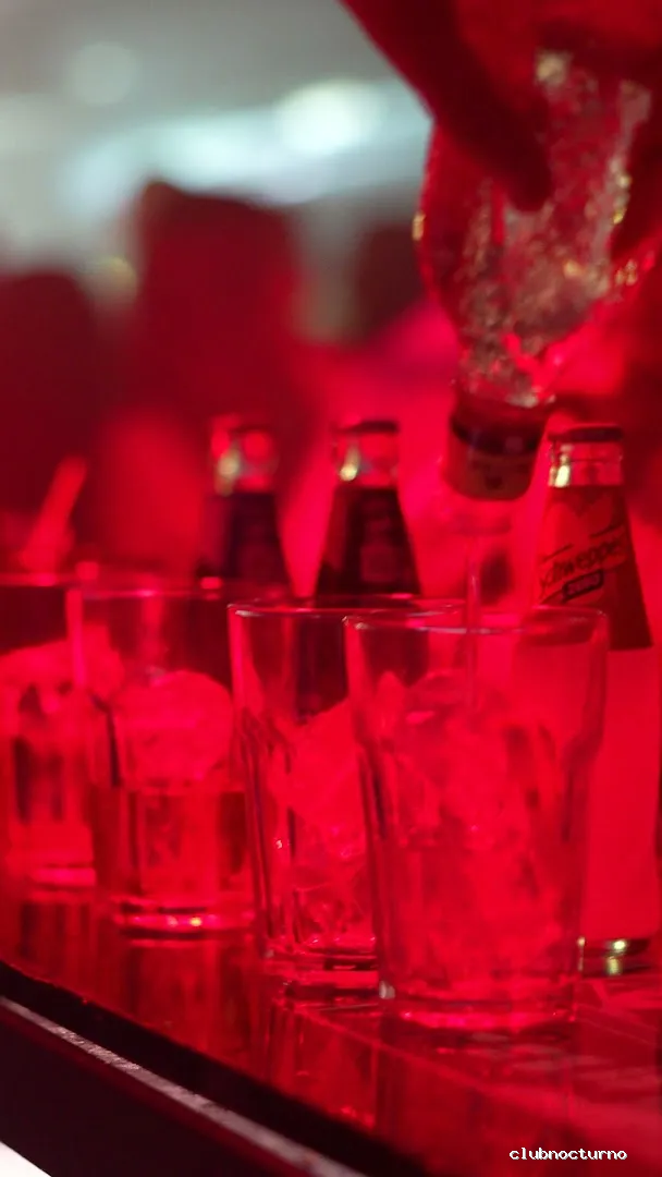 Xtra Lrge Playground