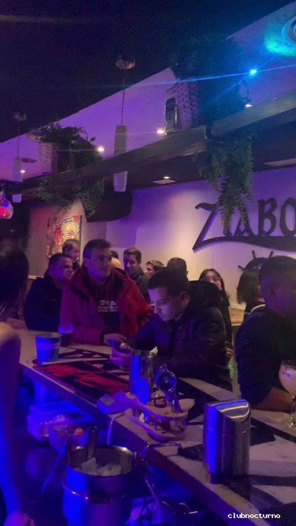 BAR ZIABOGA