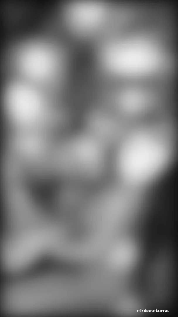 Bacanal Los Palacios - Rojales