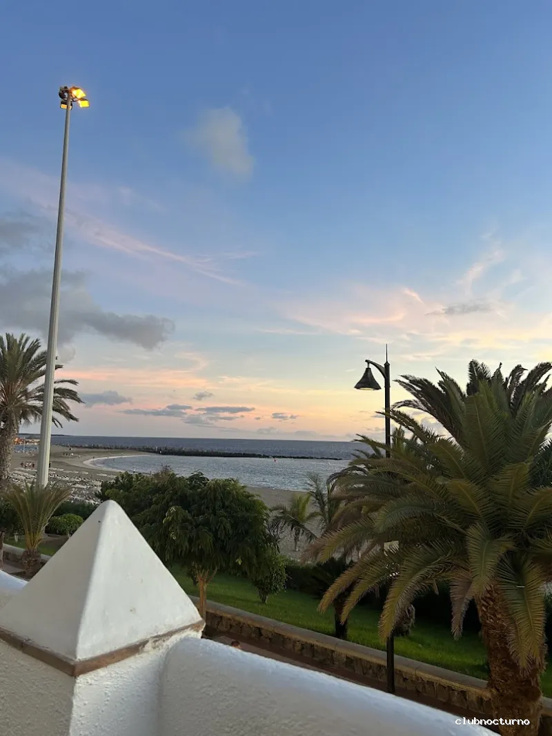 WILD Tenerife - Disco Bar