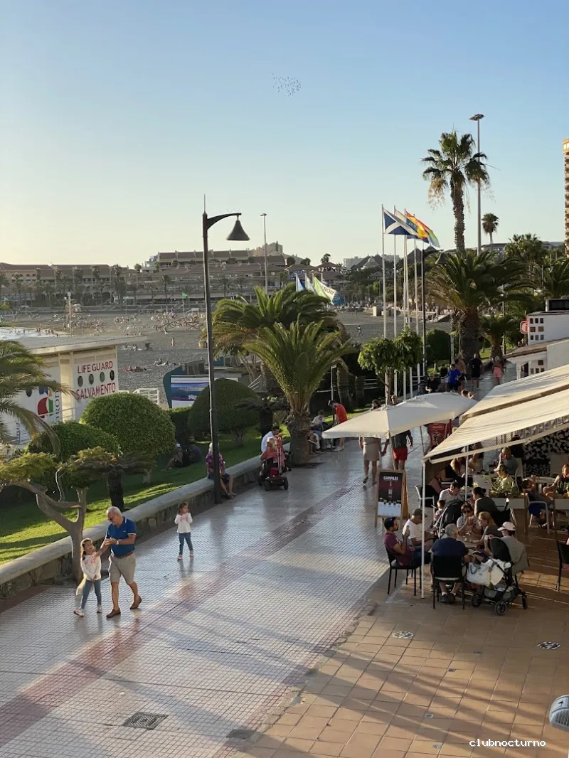 WILD Tenerife - Disco Bar