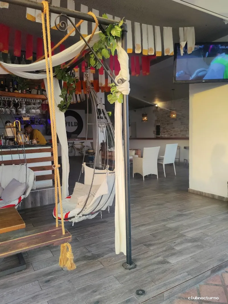 WILD Tenerife - Disco Bar