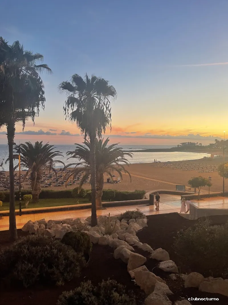 WILD Tenerife - Disco Bar