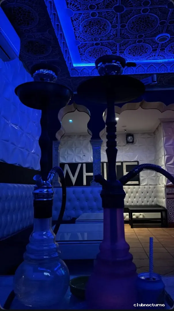 White Shisha Lounge