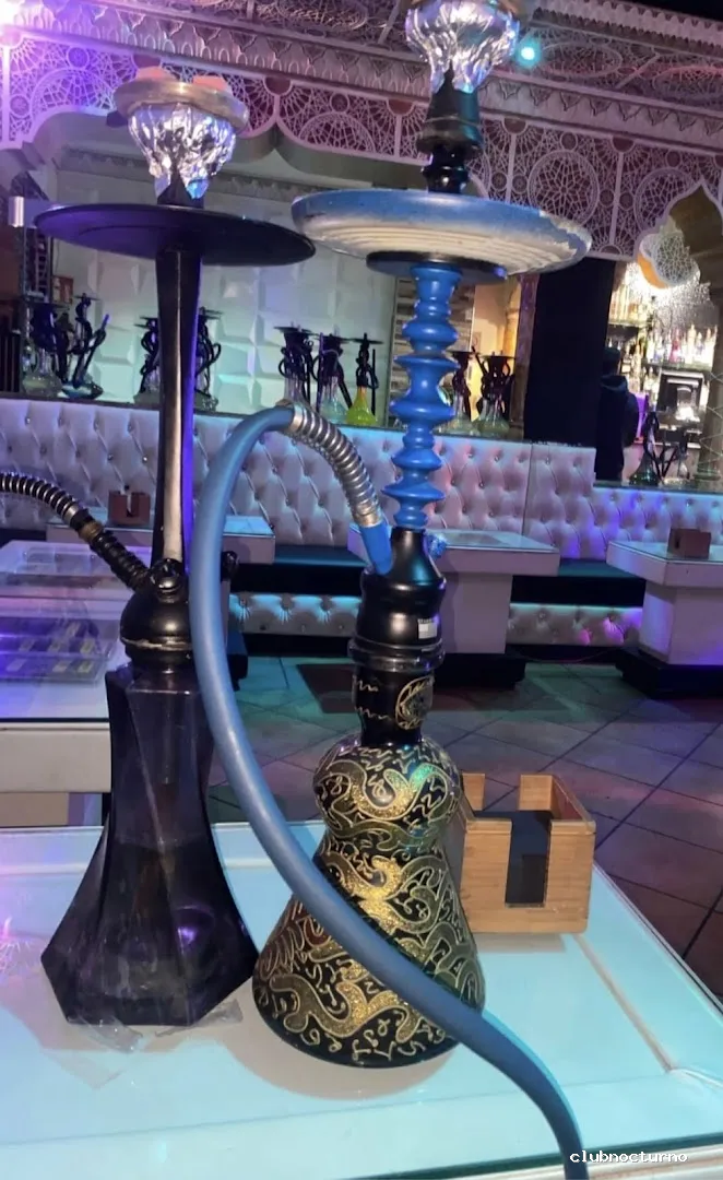 White Shisha Lounge