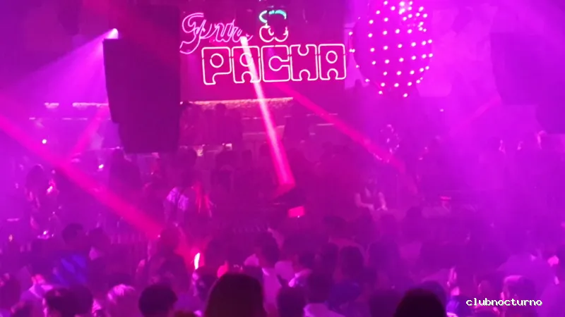 Pacha