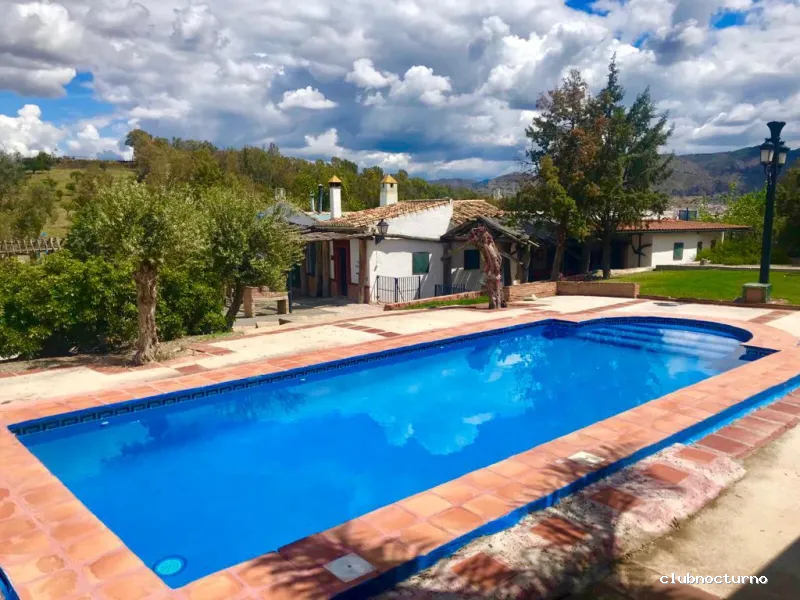 Despedidas de soltera • Temptation