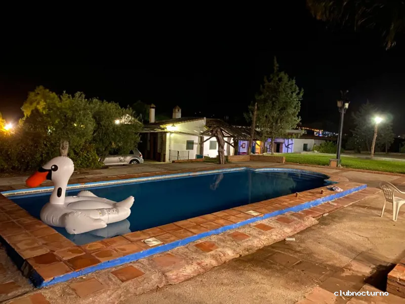 Despedidas de soltera • Temptation