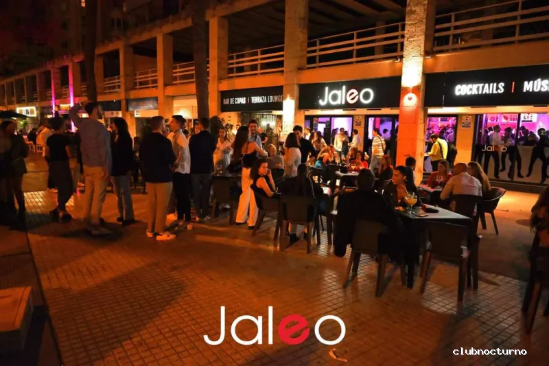 JALEO Bar de Copas
