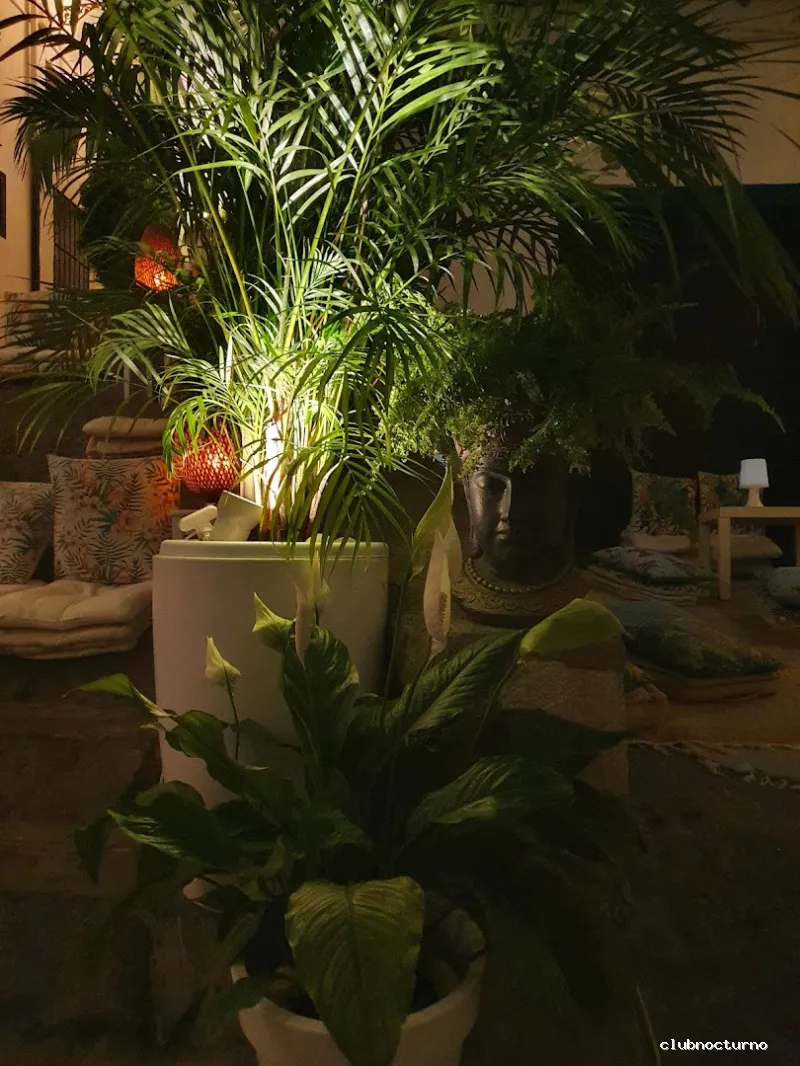 Agua Clara Peñíscola