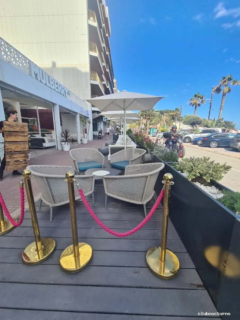 Mulberry Street Shisha Lounge Bar