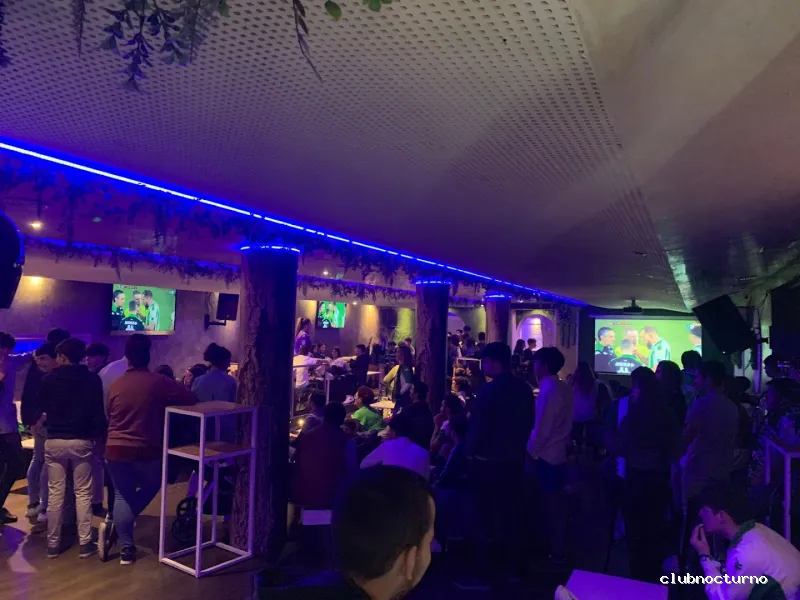 Hoyo10 Cafe Bar Copas