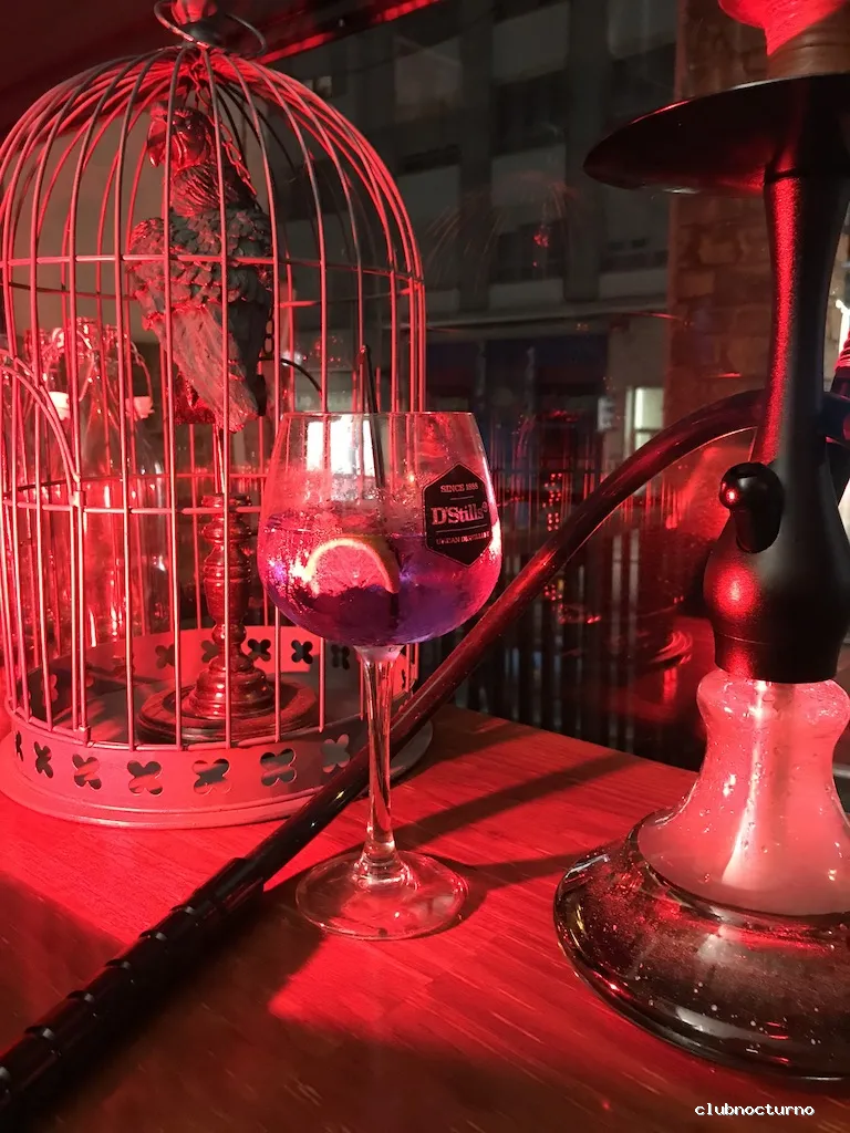 TROPICAL SDC ( Trop!cal )