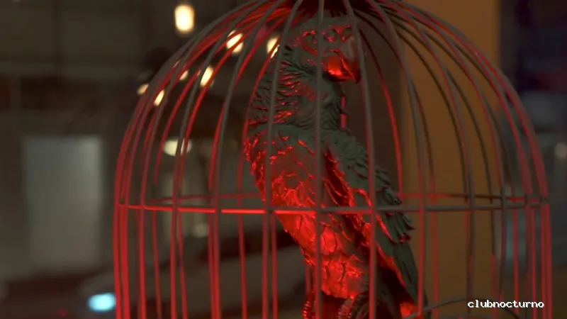 TROPICAL SDC ( Trop!cal )