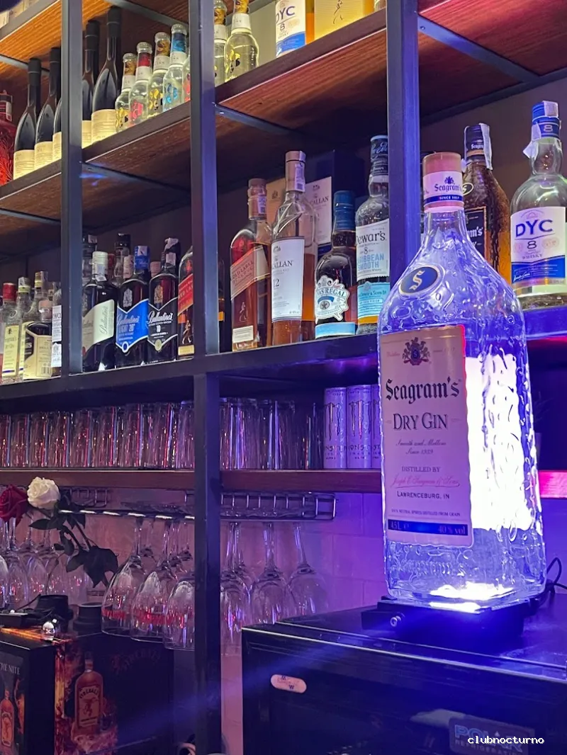 TROPICAL SDC ( Trop!cal )