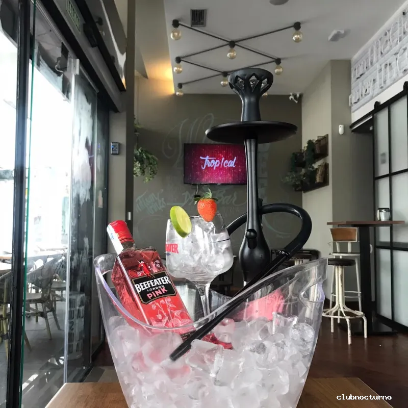 TROPICAL SDC ( Trop!cal )