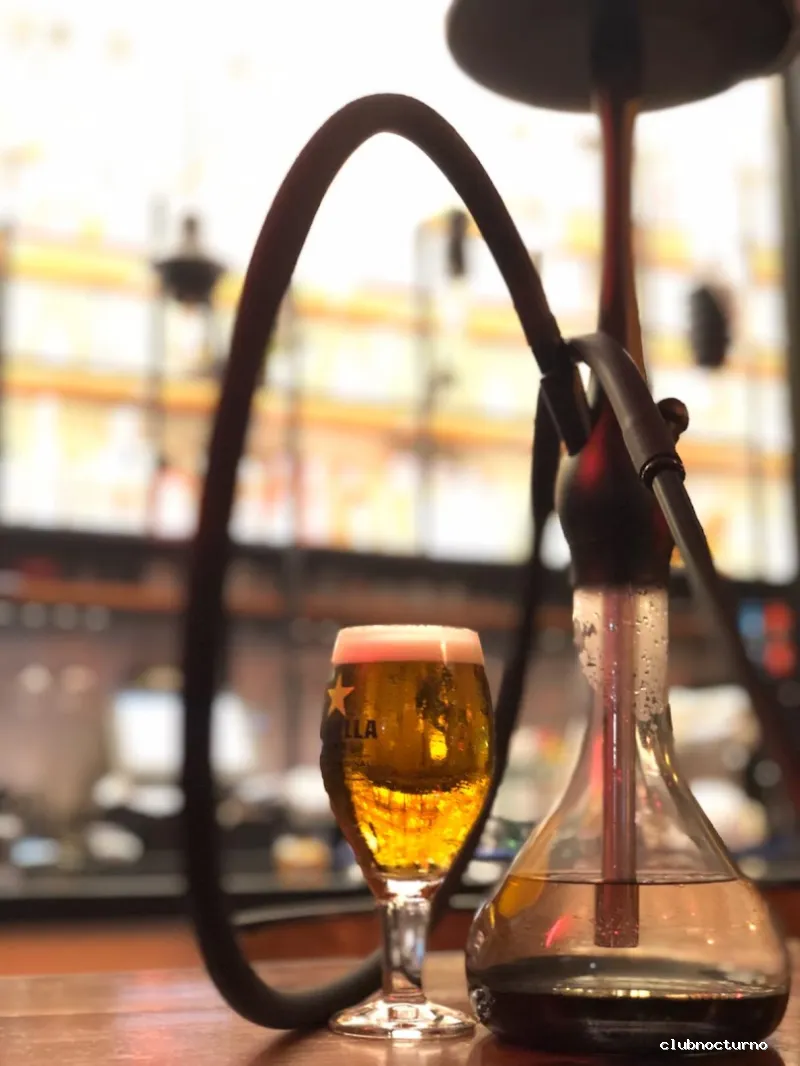 TROPICAL SDC ( Trop!cal )