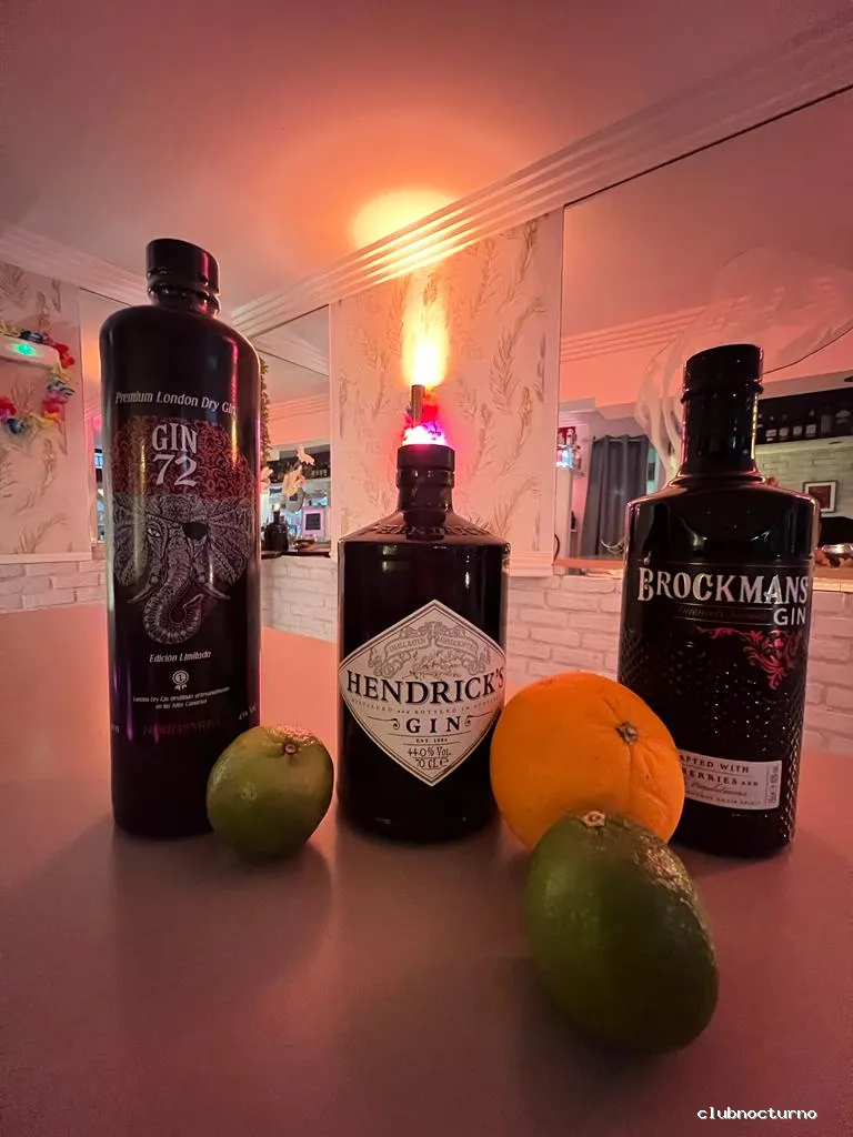 Bar Habasko - The hidden Bar