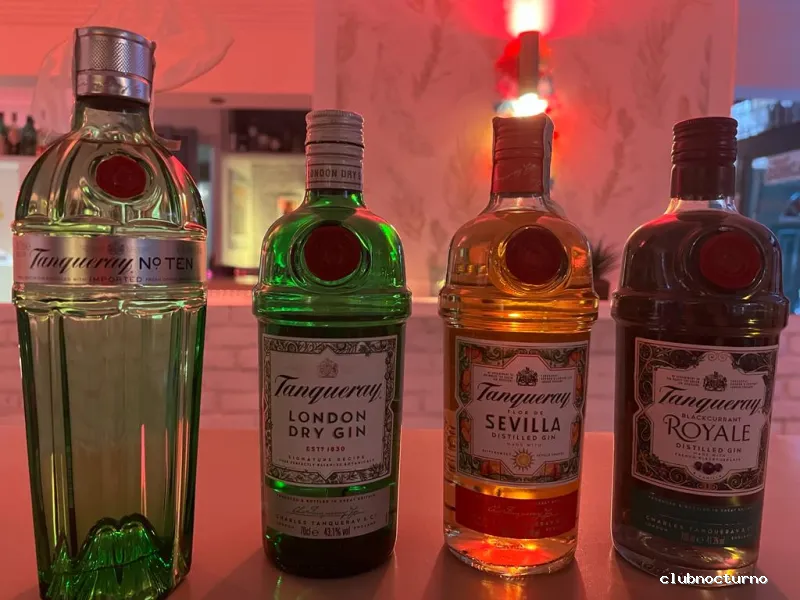 Bar Habasko - The hidden Bar