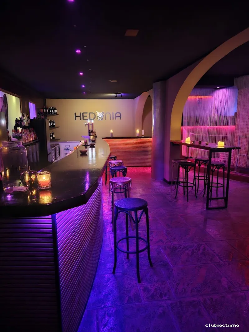 Club Swinger Hedonia