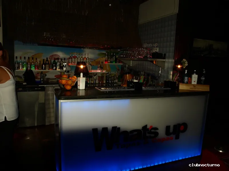 DISCOBAR COCTELERIA ZAFRA WHAT’S UP