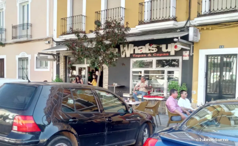 DISCOBAR COCTELERIA ZAFRA WHAT’S UP