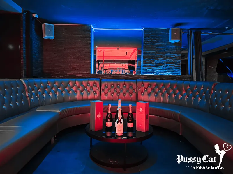 Pussy Cat Strip Club Barcelona