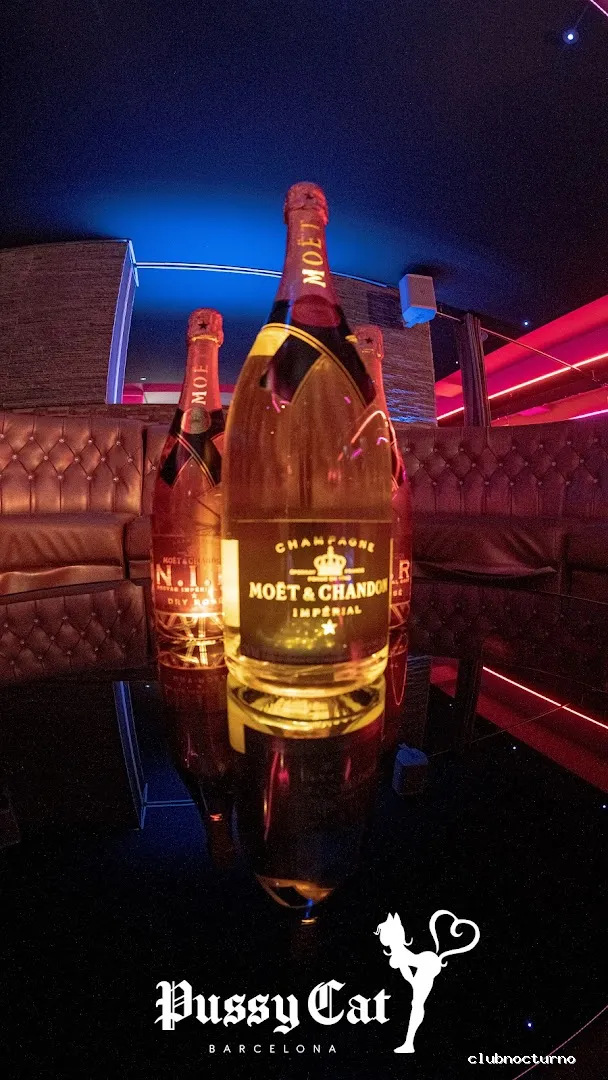 Pussy Cat Strip Club Barcelona