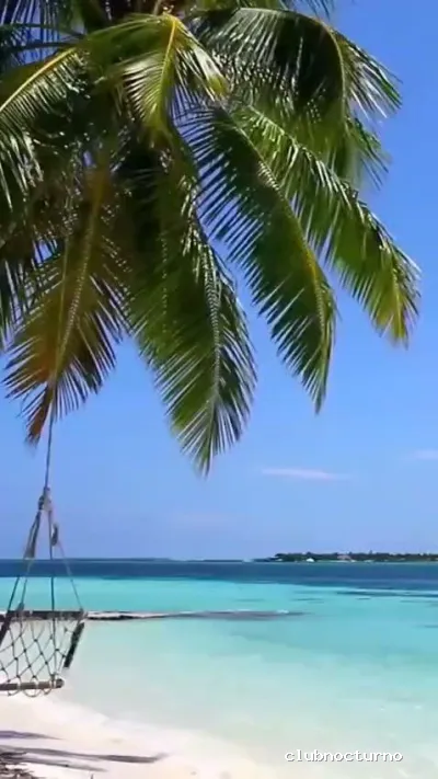 Factory Party Bilbao CENAS ESPECTÁCULO