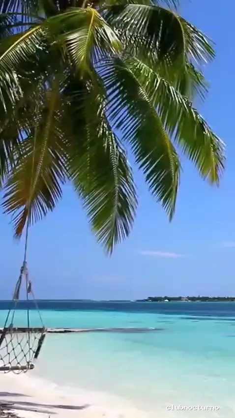 Factory Party Bilbao CENAS ESPECTÁCULO