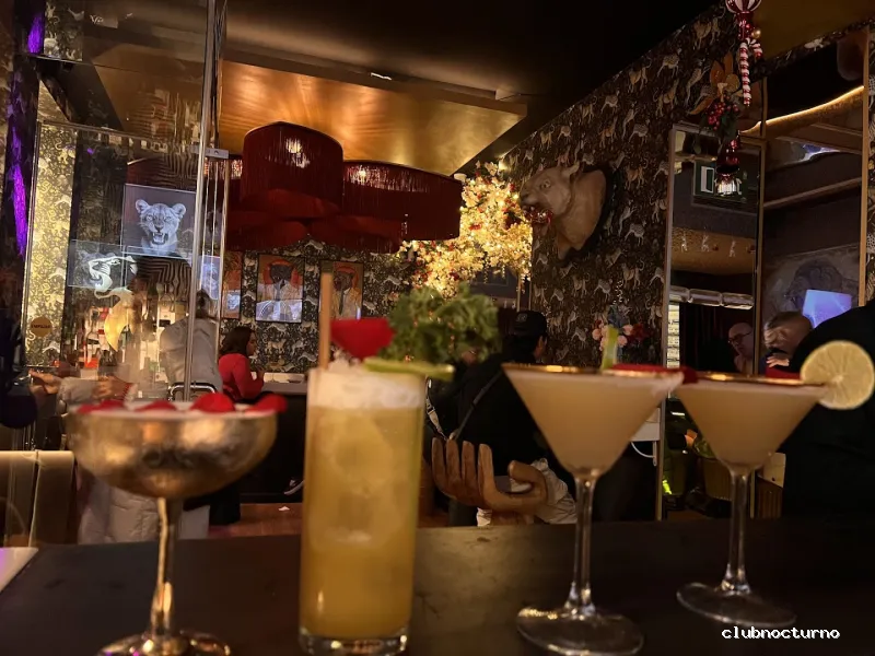 LEONA BAR COCTELERIA